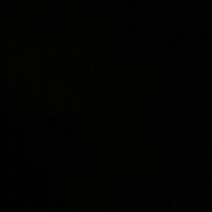 Meet your Posher, Nadine